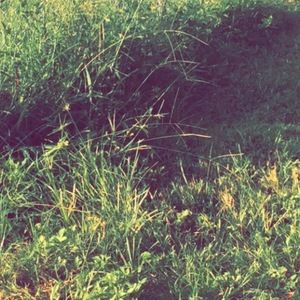 Meet your Posher, Jacknoumie